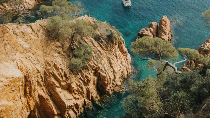 maverick-ocean-LuCwt4tD4xE-unsplash-e1780314626239 (Foto: Dagmar Grigarova) maverick-ocean-LuCwt4tD4xE-unsplash-e1780314626239 (Foto: Dagmar Grigarova)