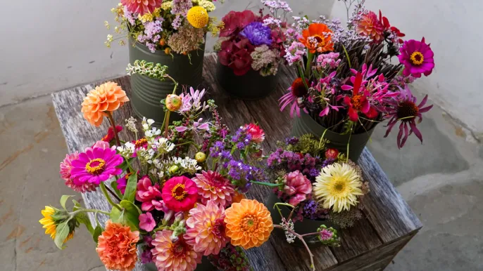 DSC00053 (Foto: Liliane Germann) DSC00053 (Foto: Liliane Germann)